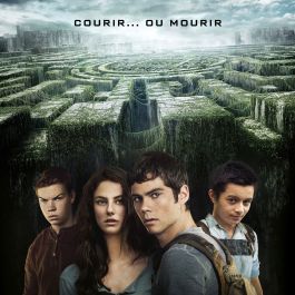 Affiche "Le labyrinthe"